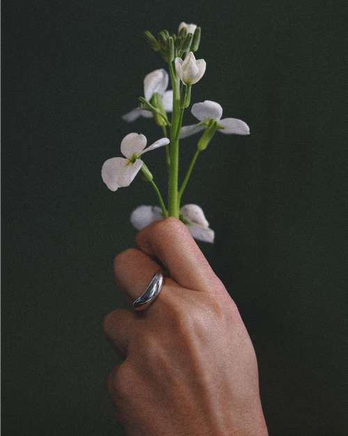 Anillo Eco II
