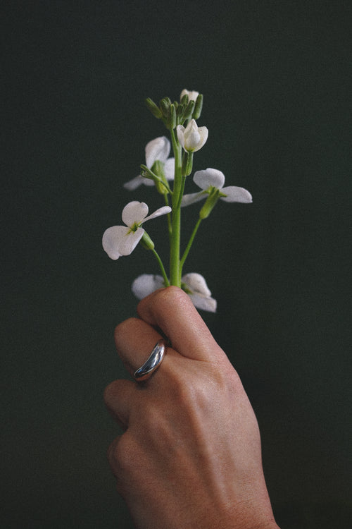 Anillo Eco II